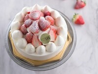 15cm Strawberry Shortcake