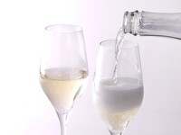 CHAMPAGNE by the BOTTLE