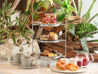【TEA TIME】アフタヌーンティーセット＜平日＞