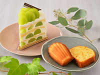 テイクアウト限定【焼き菓子セット】シャインマスカットプレミアムショートケーキ～和三盆使用のしっとりスポンジ