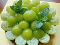 季節のタルト-９月-18㎝