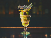 LC会員Parfait Constellation 