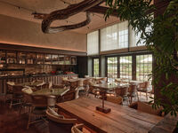【Patina Dining Days】選べる1ドリンク＋全4品ランチ PLANTS（平日15％ご優待）