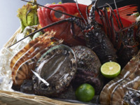 [Top-class special menu] Supreme course