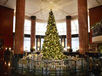 【Reservations for November onward】Lunch Buffet (Sat, Sun, Holidays)