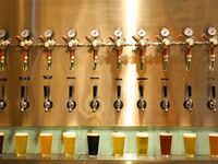 【オクフェスプラン】週替りの国産クラフトビールを含む飲み放題＋大好評のタコスパーティープラン