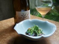 Seasonal course (7 dishes + wine pairing)