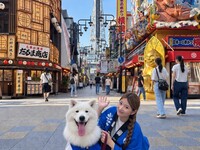 《17時以降限定》サモエドとお揃いはっぴで歩く！お散歩プラン（30分）