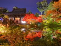 【10/23～12/13｜紅葉×秋の高台寺特別拝観を楽しむ】ディナー全5品