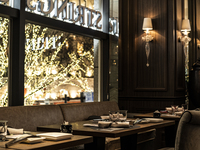【表参道イルミネーション2026】早割！ケヤキ並木イルミネーション一望！料理長厳選コース全5品
