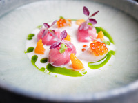 Degustation Course with pairing of South American wines