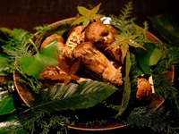 精选松茸套餐 38,000日元