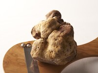 Menu Truffe Blanche ～白トリュフ特別コース～