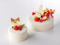 【Advance payment】Ailes d’ange L Size