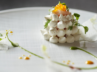 Menu Dégustation ＋ Half-Alcoholic Pairing Course(35ml)