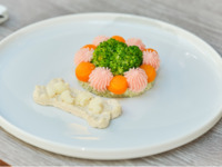 【26冬オプション】わんちゃん専用『わんちゃんプレートランチ』