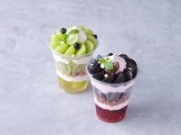 Premium Fruit Parfait/Shine Muscat