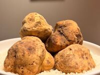 [Limited Time] White Truffle Special Course