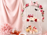 ~11/1 [Strawberry☆Afternoon Tea] Fall in love with strawberries at the Pink Rose Garden☆Afternoon Tea
