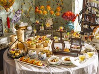 【Web予約 / 選べる乾杯ドリンク付き】平日限定　 点心は食べ放題！ チャイニーズアフタヌーンティー「楊貴妃 菊香茶宴」（17:30～19:00入店）