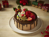  【Early Bird Discount 15％OFF】SUI Raspberry Chocolate Cake