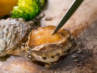 [Abalone Lunch] Includes a celebratory glass of sparkling wine! Features abalone, domestic beef sirloin steak, dessert, and more.