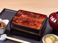 Grilled eel on rice