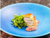 [Lunch Gourmand Course] A full lunch course featuring carefully selected seasonal appetizers, handmade pasta, fish and meat dishes, dessert, and coffee.