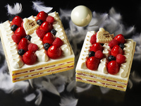 Advanced Purchase [Regular Price] Strawberry Shortcake 16cm 6,000 yen