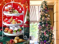 1日1組限定☆Xmasツリー前確約・乾杯ドリンク付き【土日祝】真っ赤ないちごのクリスマスアフタヌーンティー