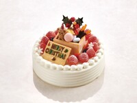 Christmas Wishes　クリスマス ウィッシュ／限定15個