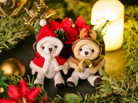 Year-End and New Year Special Dinner Buffet <Adults> with Hilton Yokohama Bear