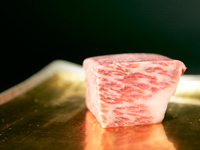 【Xmas2026】乾杯スパークリング付！前菜6種盛、A5WAGYU 肉寿司等 全8品(12/23～27)