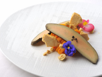 ★期間限定★白トリュフのパスタ　【Dinner Francesca】（6品）※1週間前までのご予約で承ります